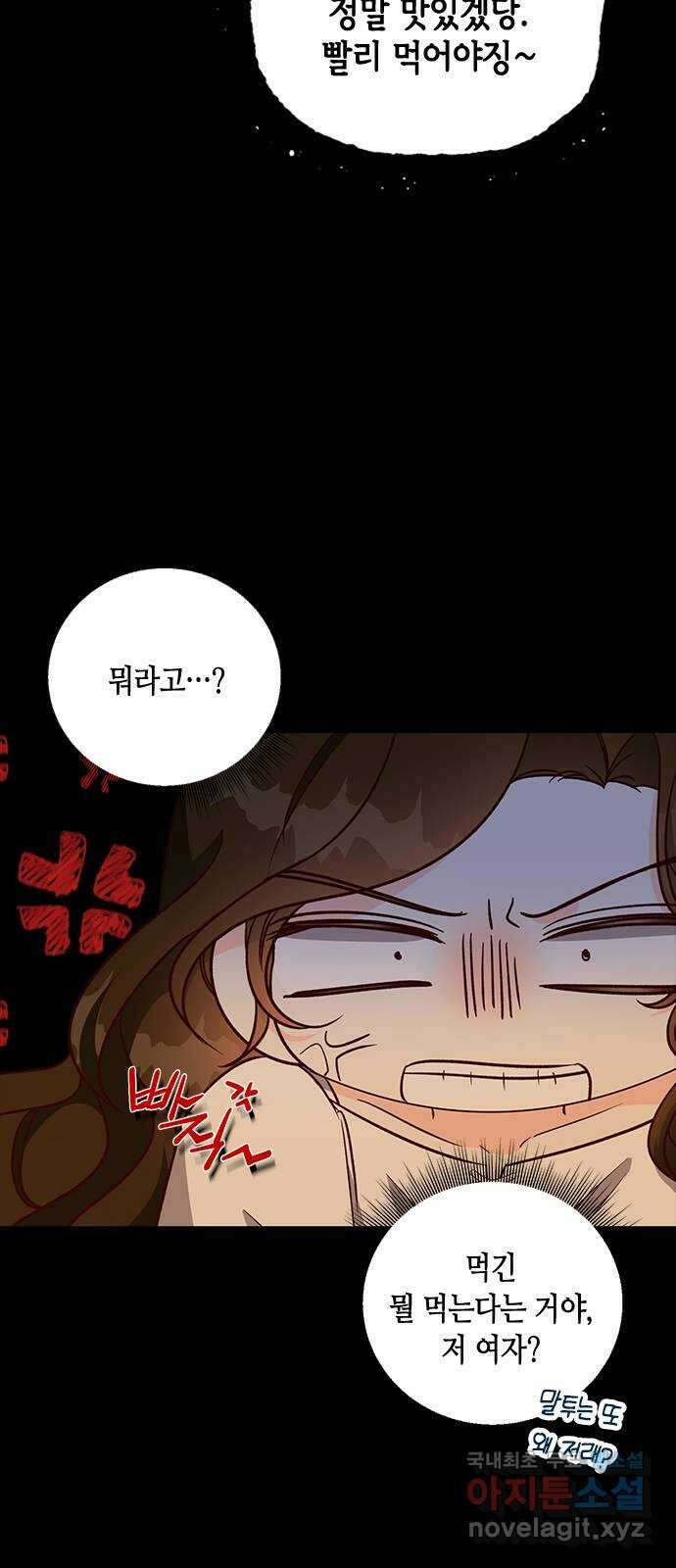 어느 백작 영애의 이중생활 69화 13