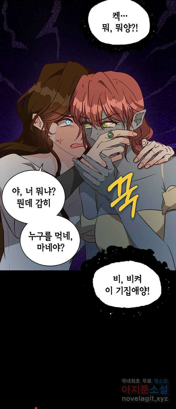어느 백작 영애의 이중생활 69화 15
