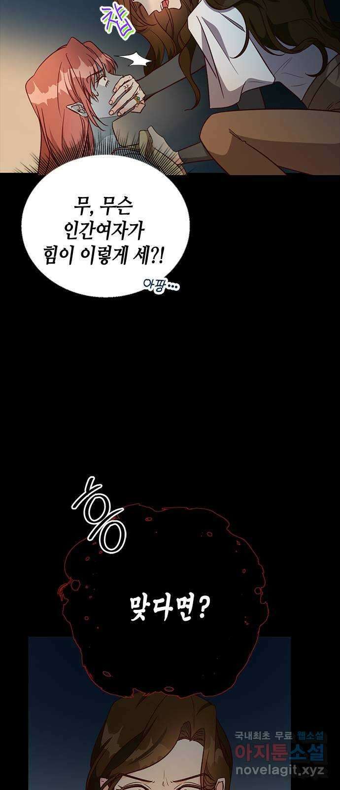 어느 백작 영애의 이중생활 69화 17