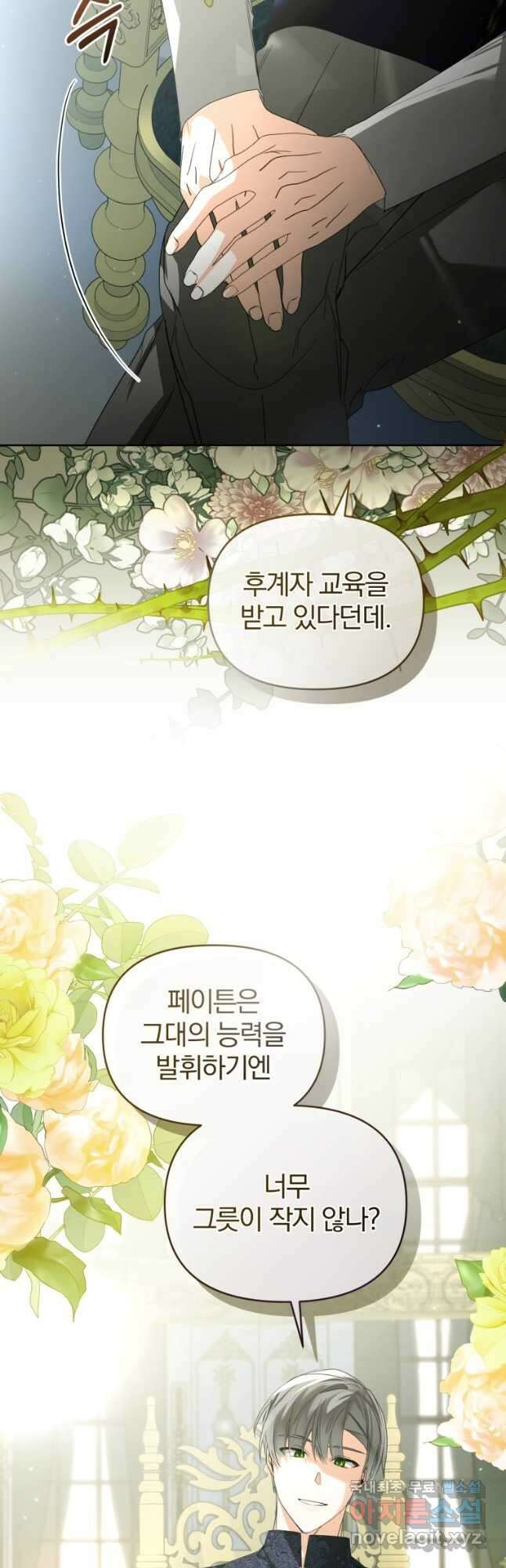 미친 악당의 품으로 떨어졌다 33화 29