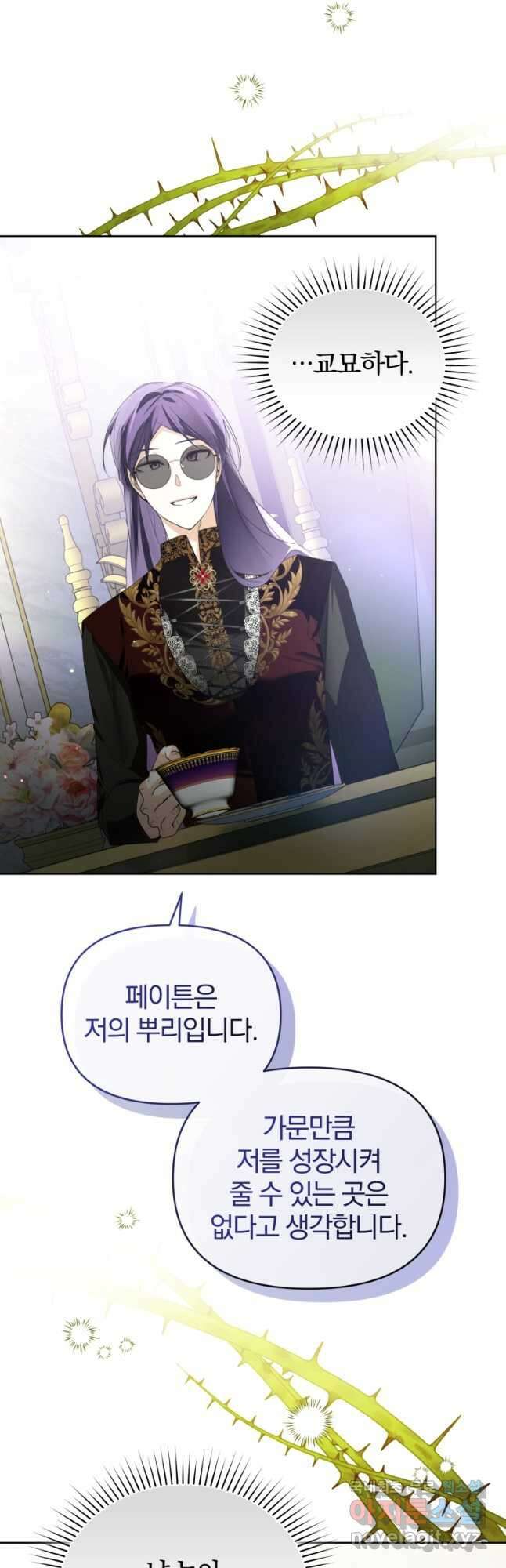 미친 악당의 품으로 떨어졌다 33화 31
