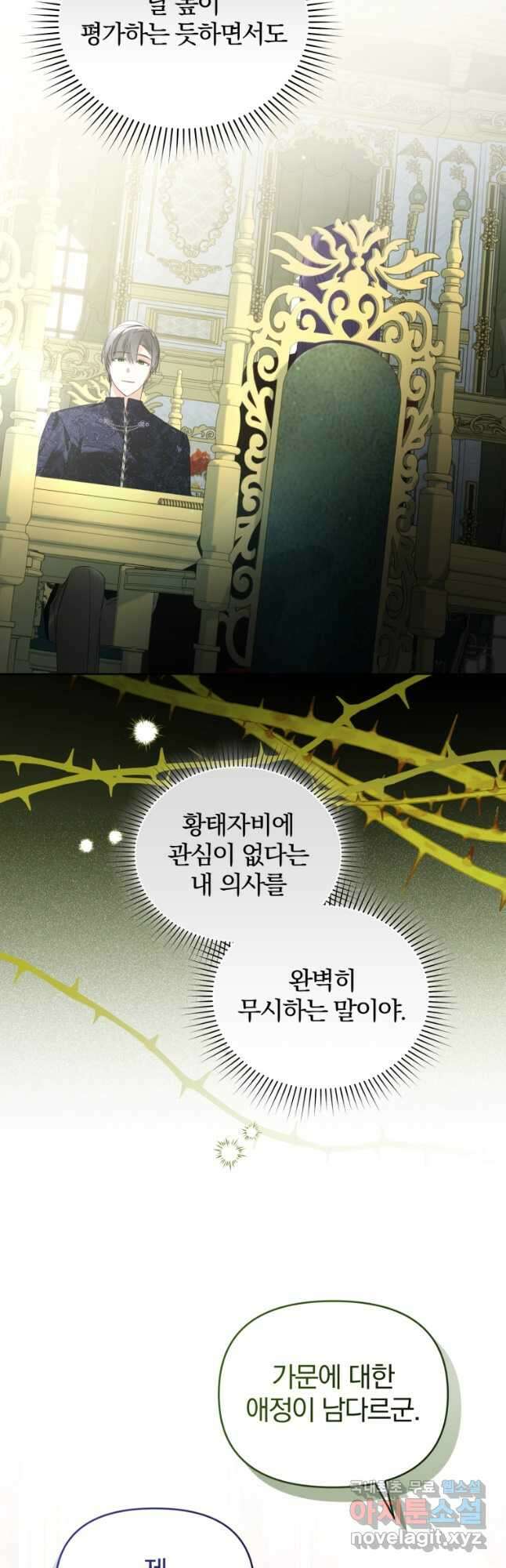 미친 악당의 품으로 떨어졌다 33화 32
