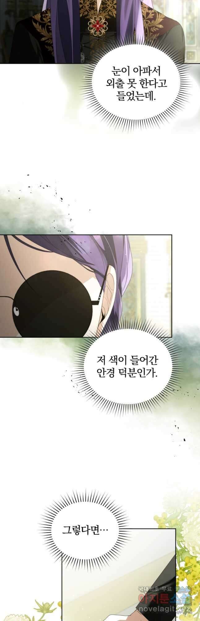 미친 악당의 품으로 떨어졌다 33화 40