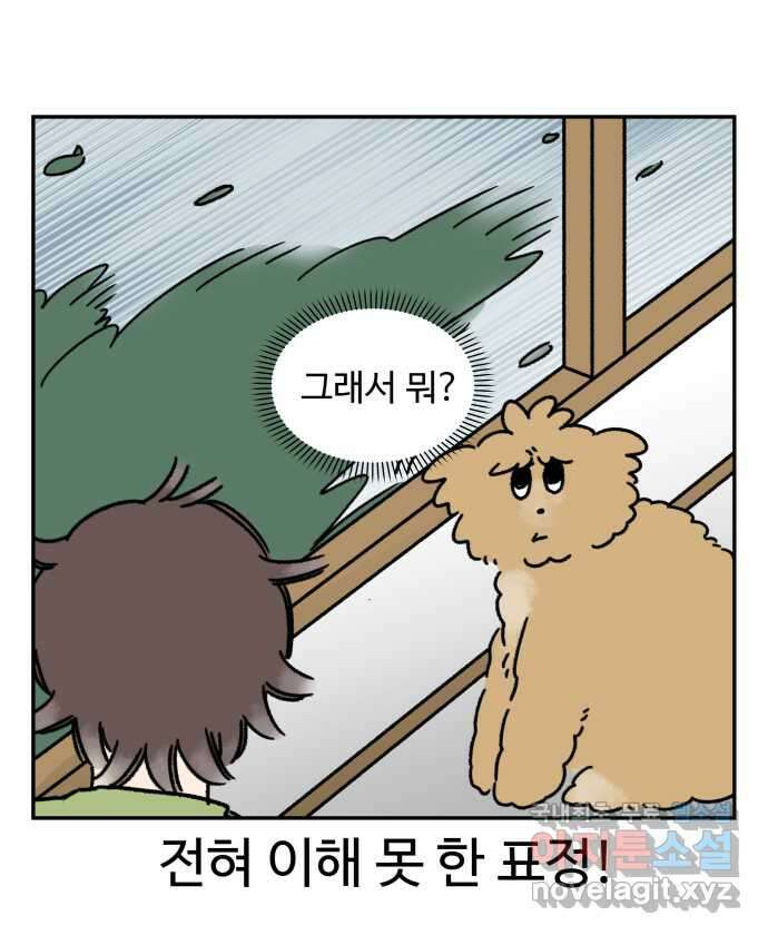 강아지는 멍멍하고 짖지 않아! 49화 - 산책 강행견 1 7