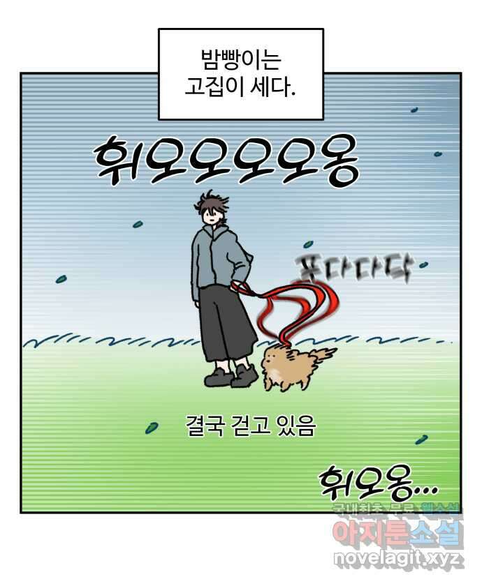 강아지는 멍멍하고 짖지 않아! 49화 - 산책 강행견 1 12