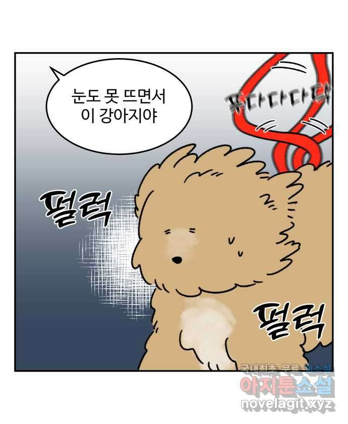 강아지는 멍멍하고 짖지 않아! 49화 - 산책 강행견 1 13