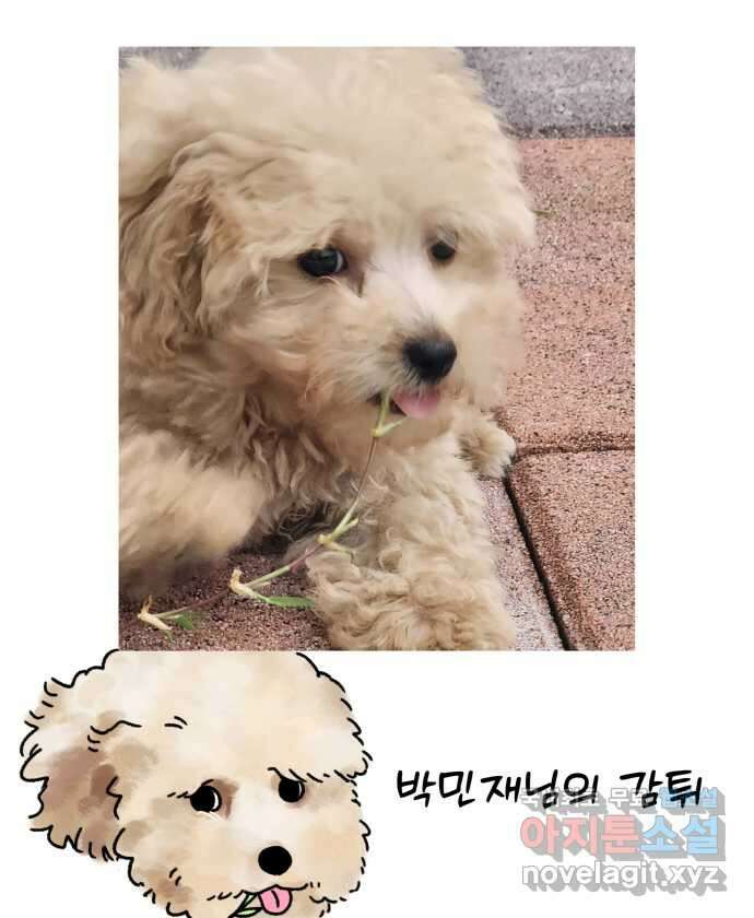 강아지는 멍멍하고 짖지 않아! 49화 - 산책 강행견 1 22
