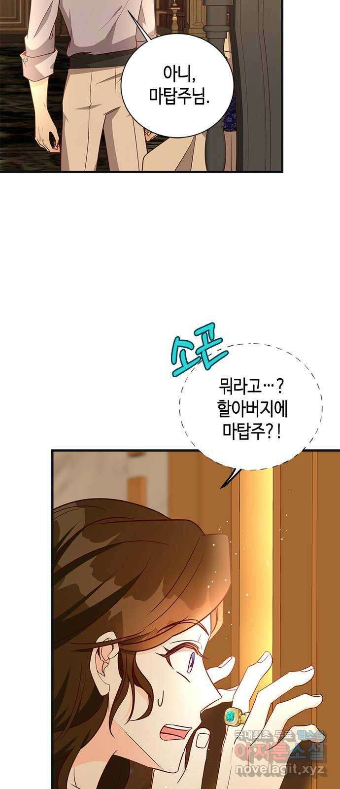 어느 백작 영애의 이중생활 71화 27