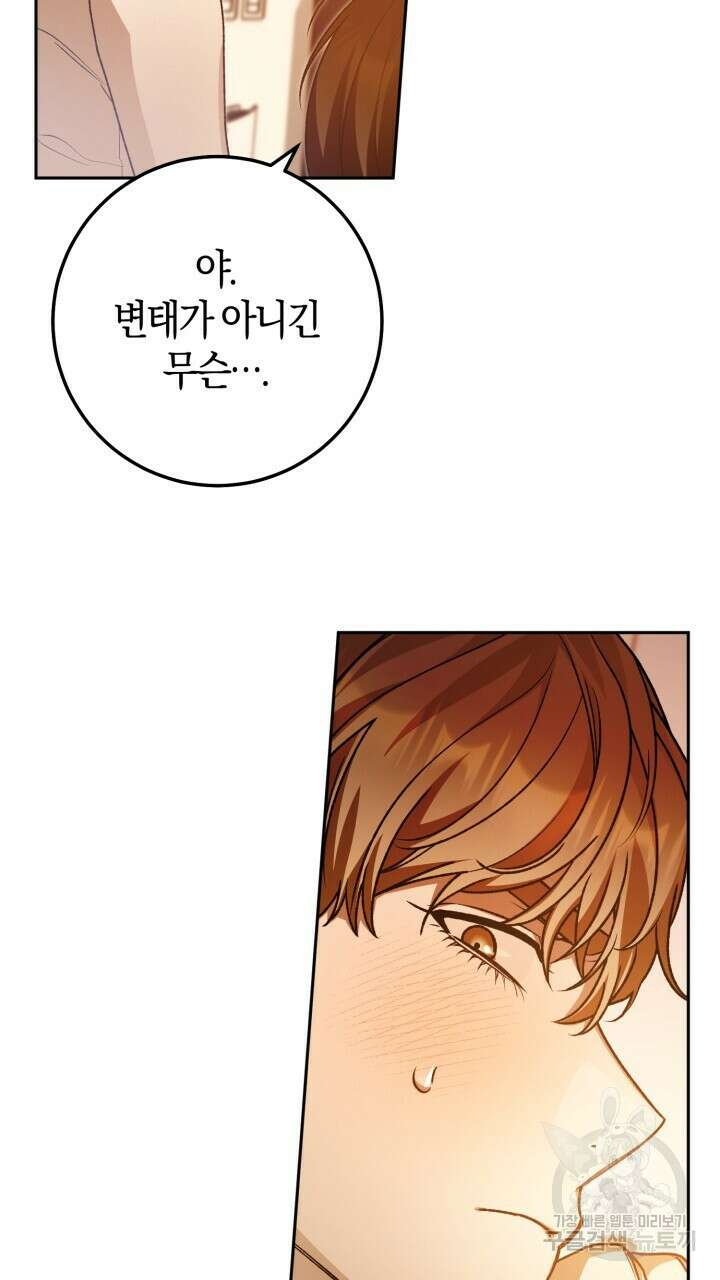 넷카마 펀치!!! 68화 14
