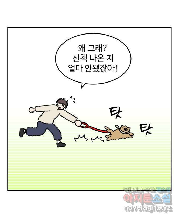 강아지는 멍멍하고 짖지 않아! 54화 - 실내 배변 강아지 3
