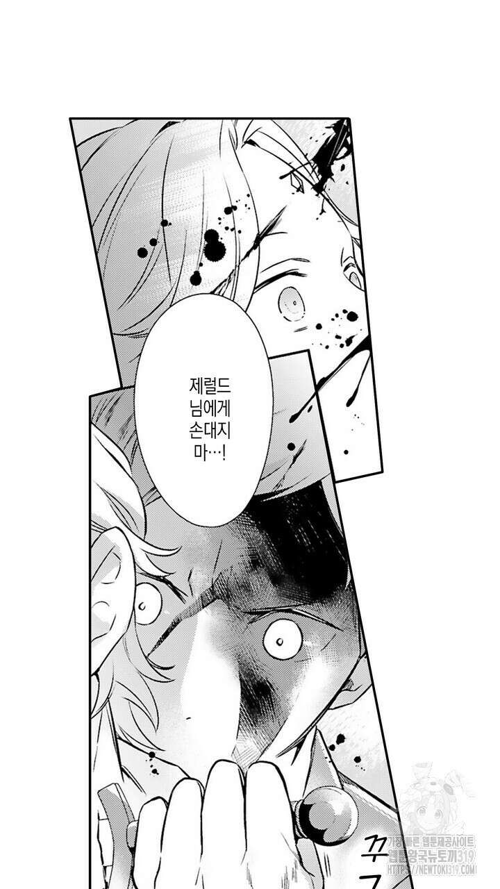 가면백작은 흑수정 신부를 사랑한다 22화 13