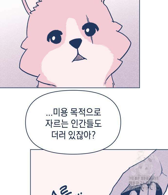 반려짐승 9화 14