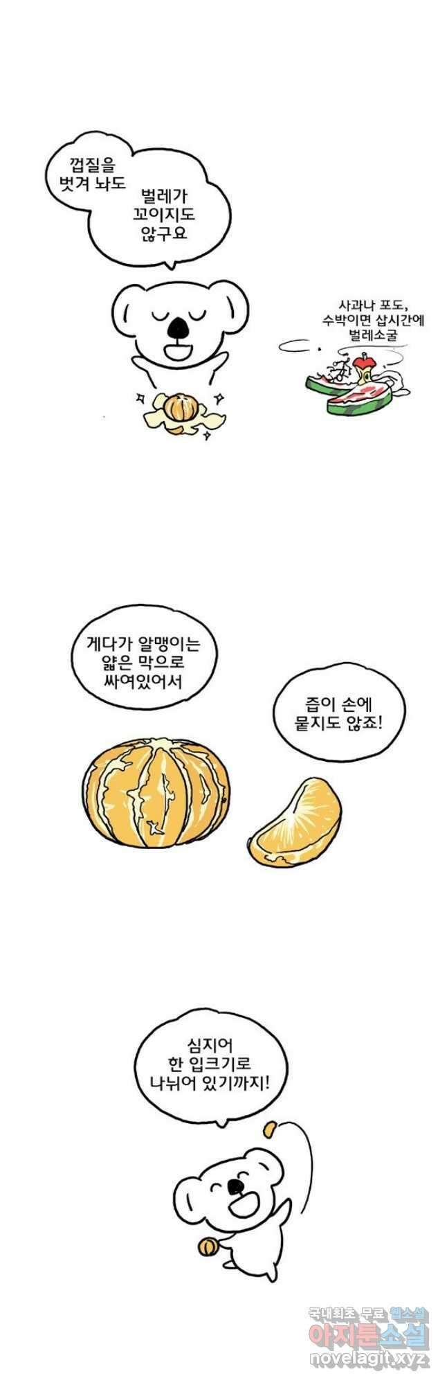 코알랄라 53화 귤 3
