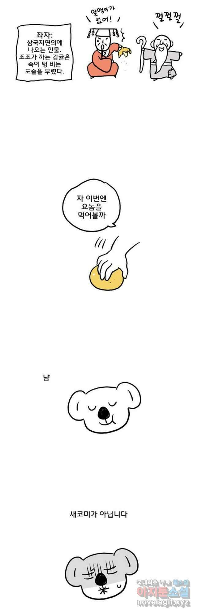 코알랄라 53화 귤 7