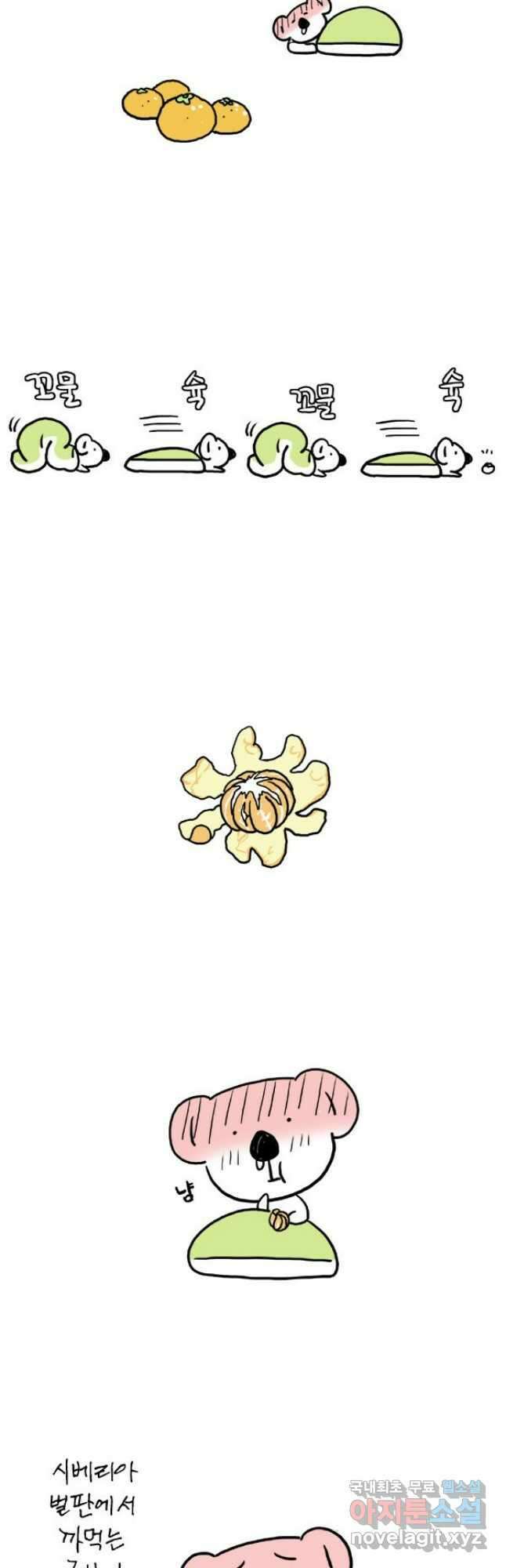 코알랄라 53화 귤 21