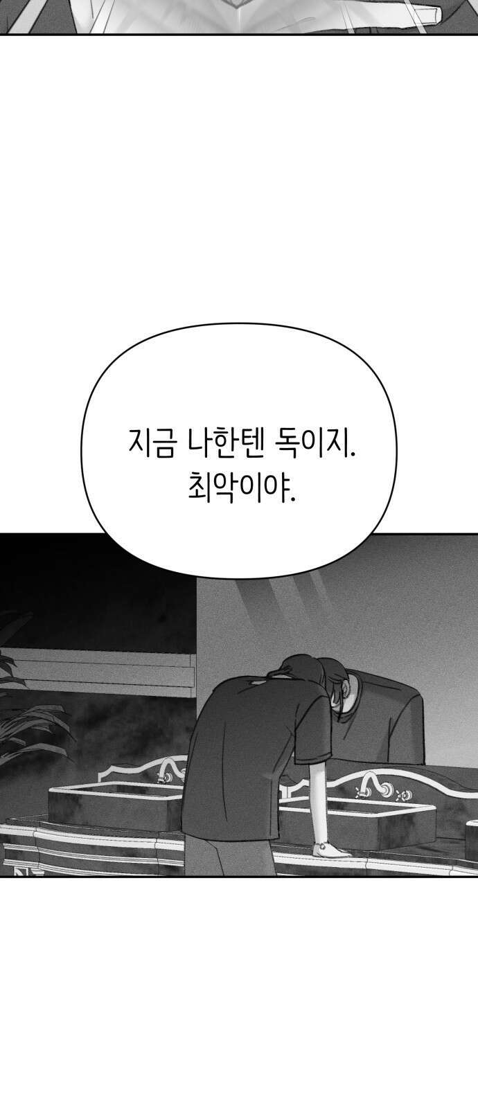 내가 사랑한 물고기 21화: 운명론자 물고기 16