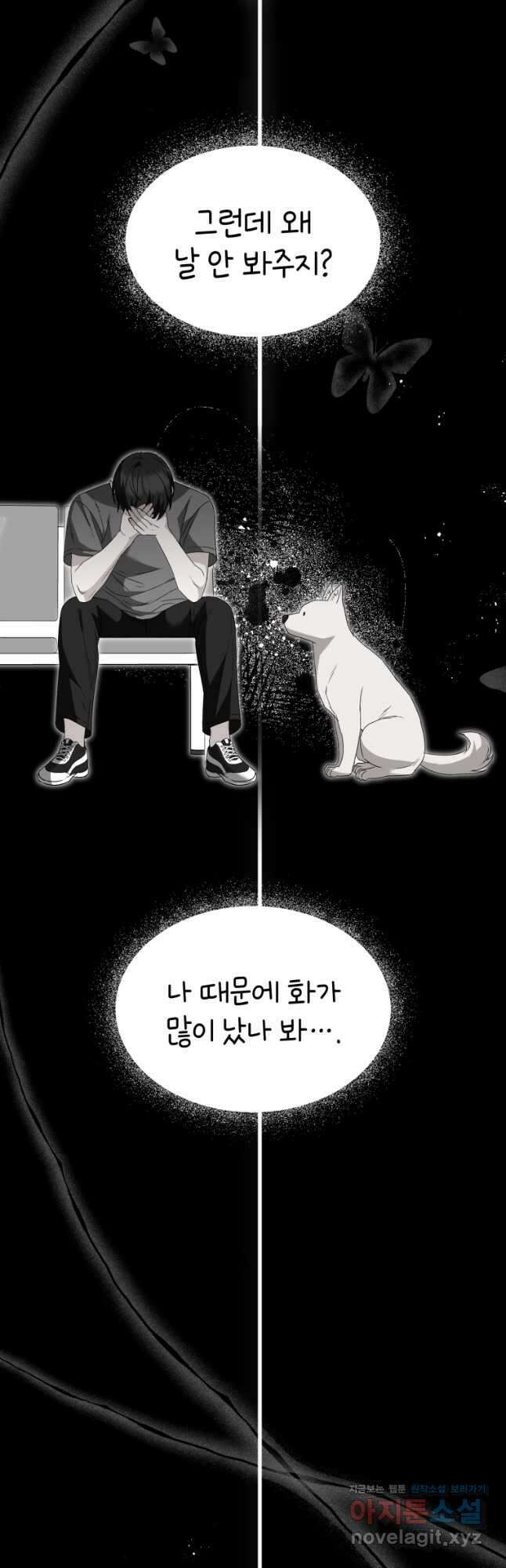 수의사님! 안녕하세요 47화 11