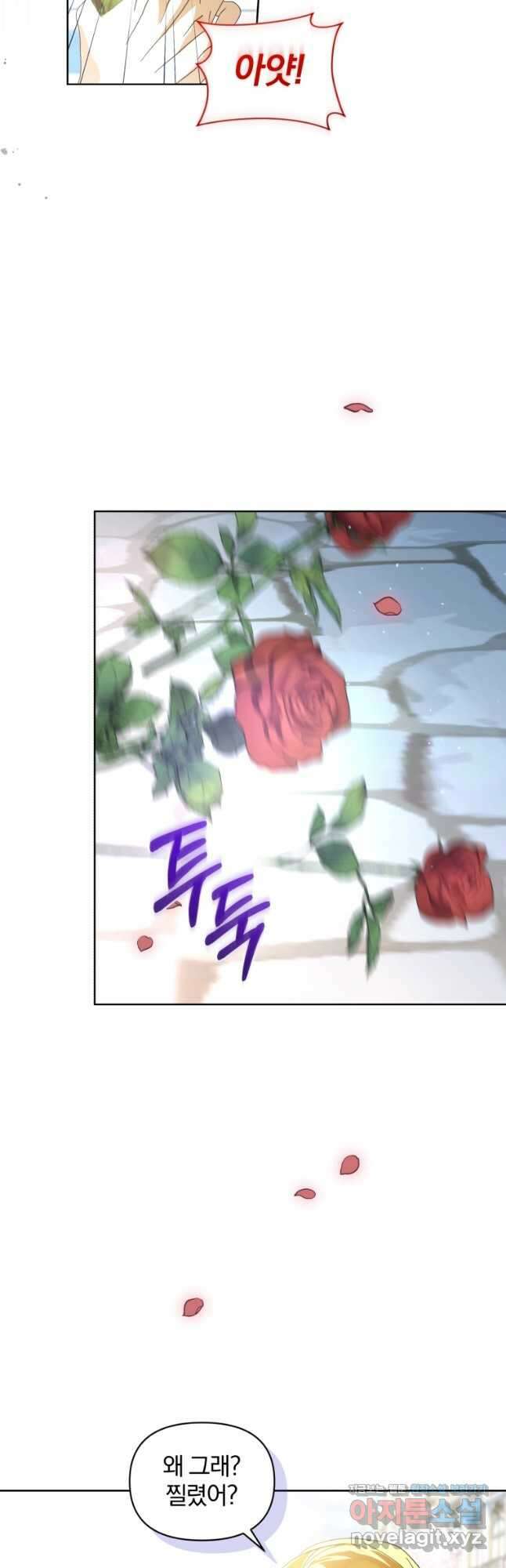 미친 악당의 품으로 떨어졌다 46화 11