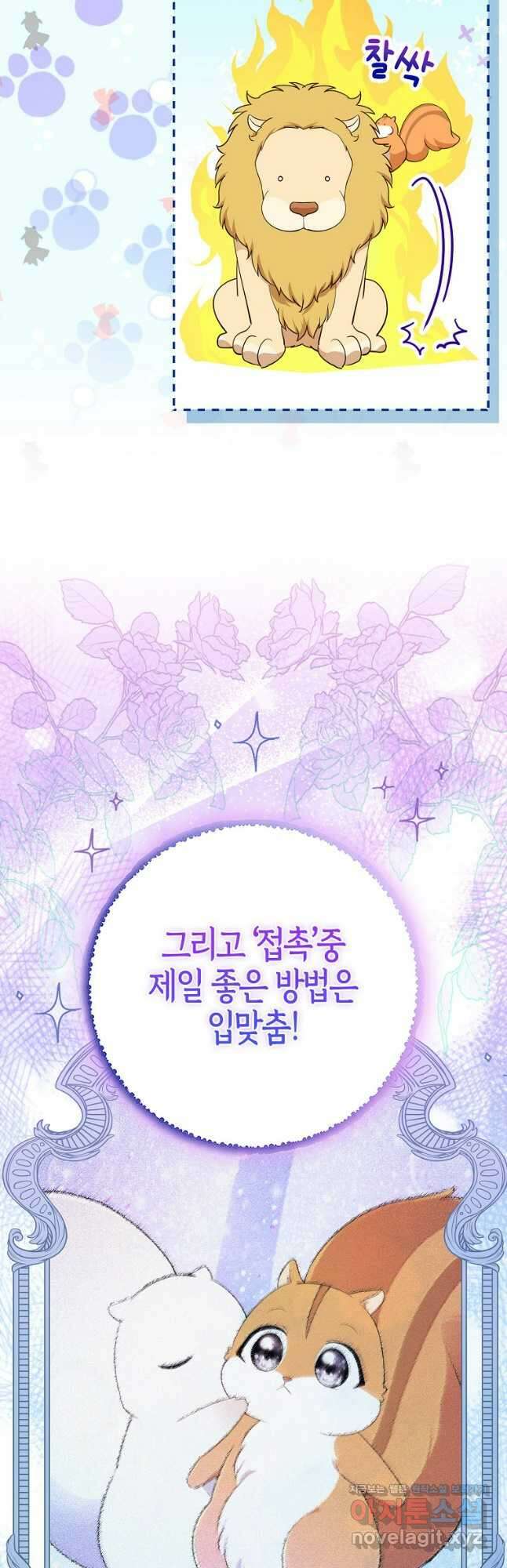 아기 다람쥐가 다 잘해요 75화 17