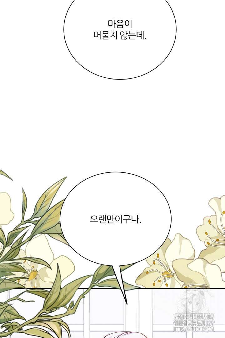 공작님의 모든 것 33화 48