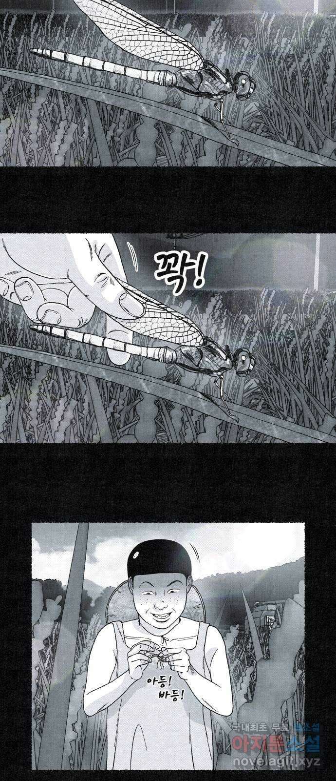 벌집 16화 19