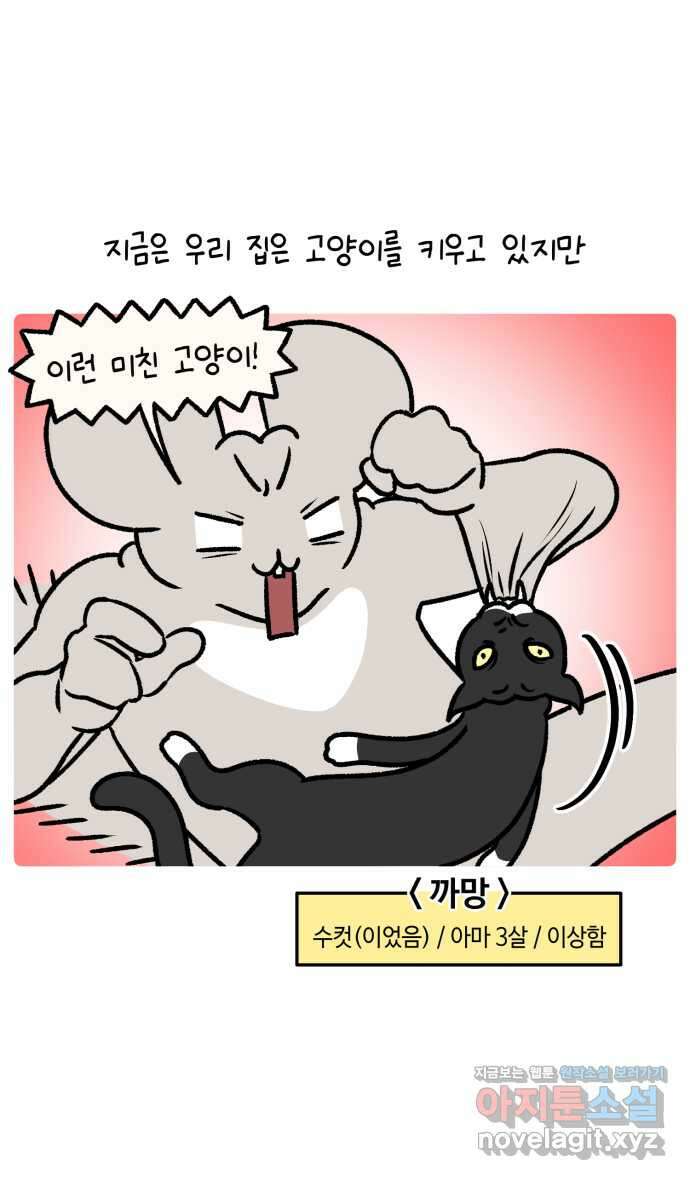 안녕, 나의 수집 132. 고양이 모자 1
