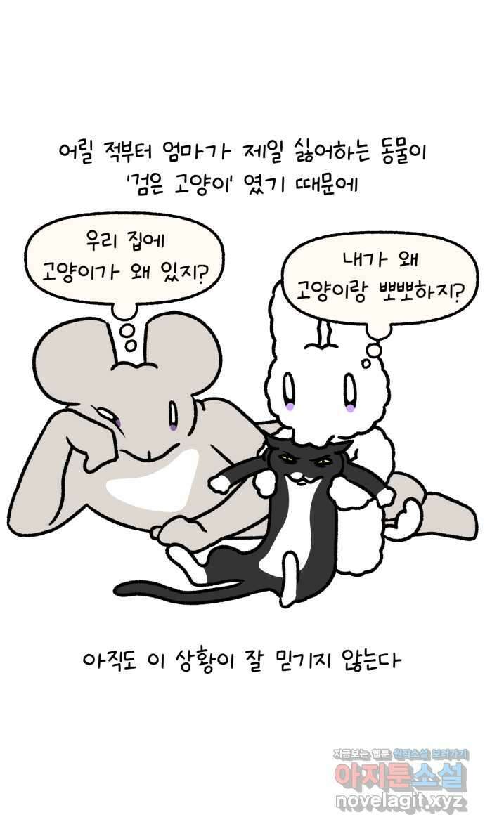 안녕, 나의 수집 132. 고양이 모자 2