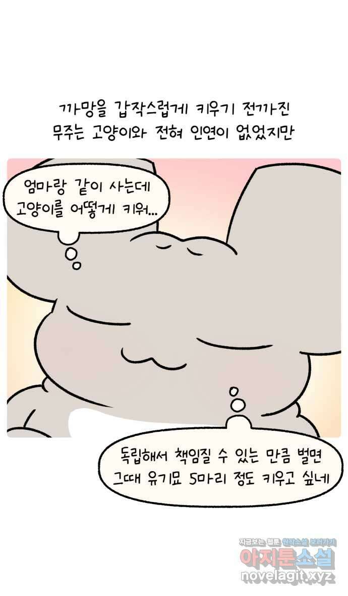 안녕, 나의 수집 132. 고양이 모자 3