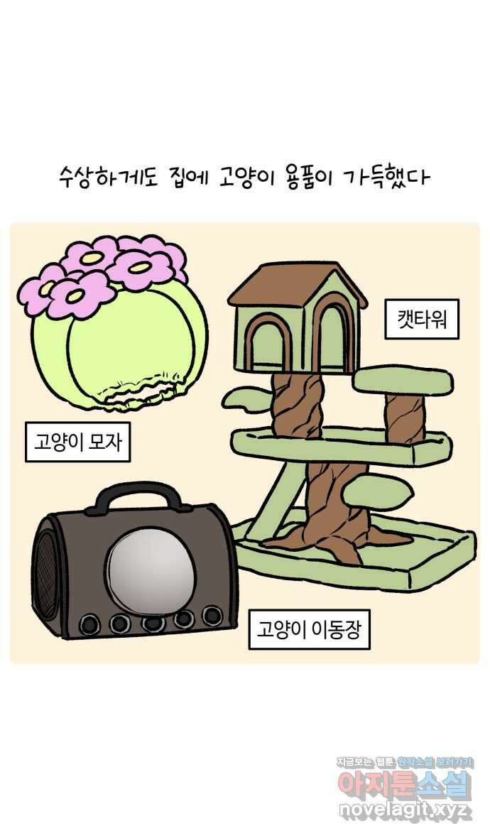 안녕, 나의 수집 132. 고양이 모자 4