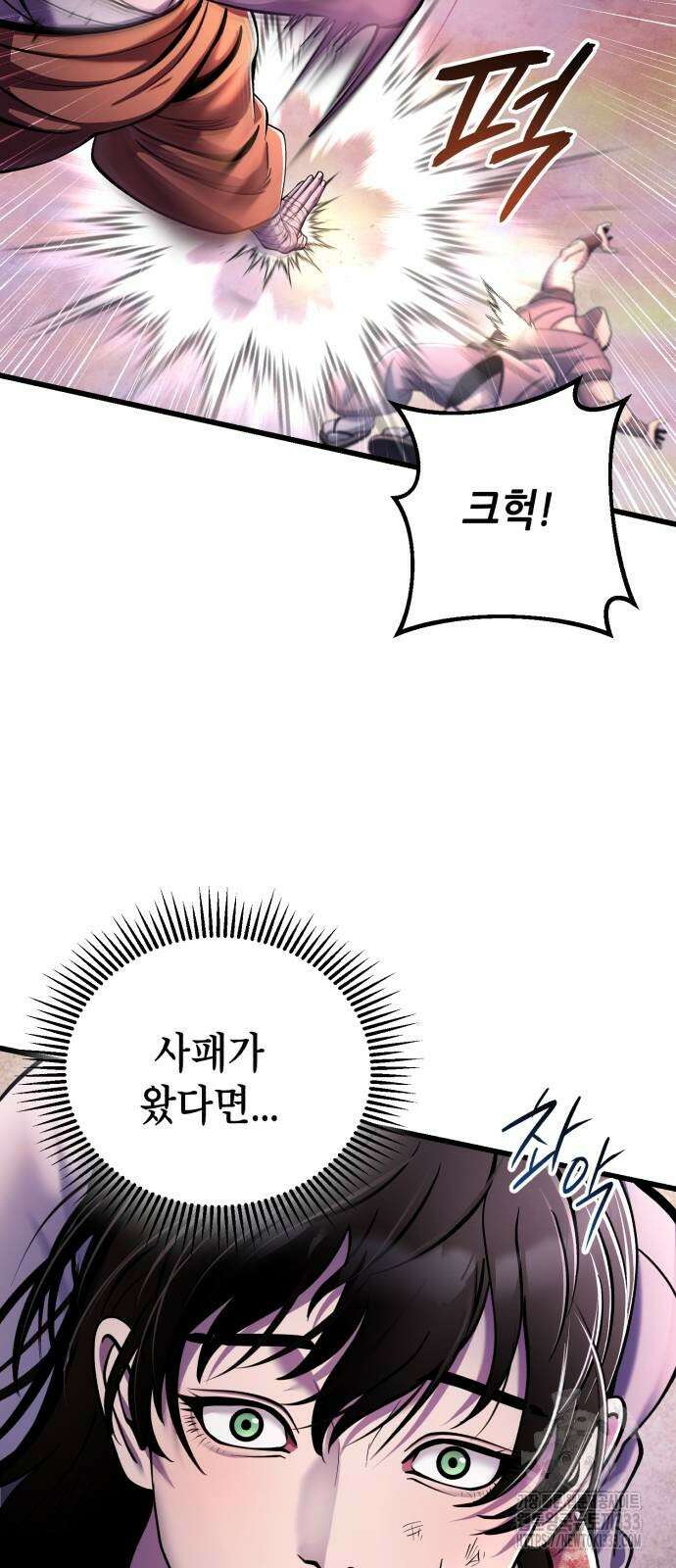 하북팽가 막내아들 127화 49