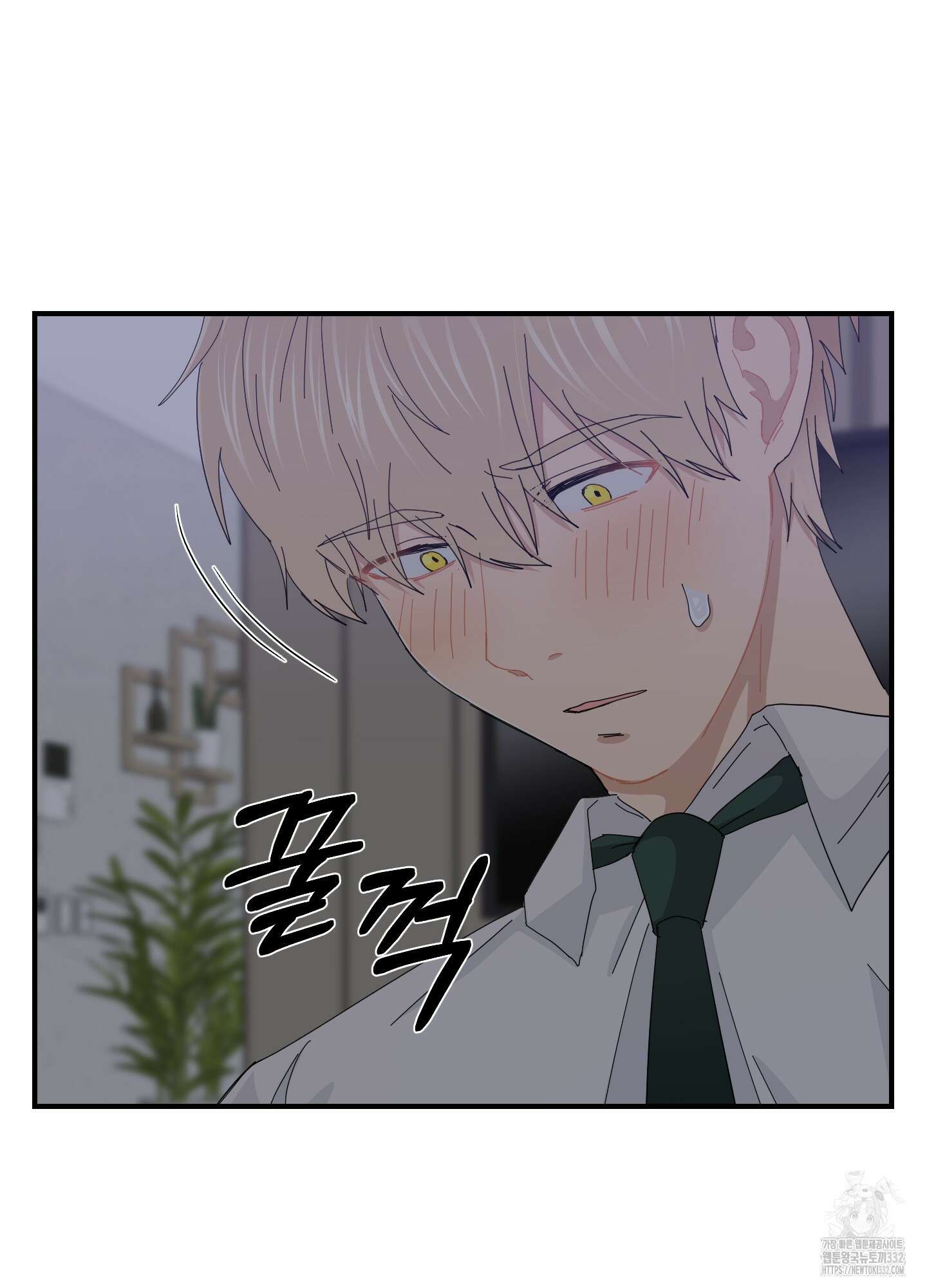 금수만도 못한 팔자 46화 12
