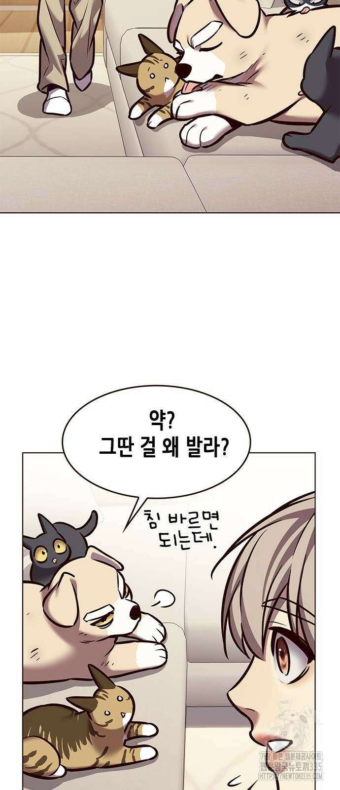 일렉시드 294화 34