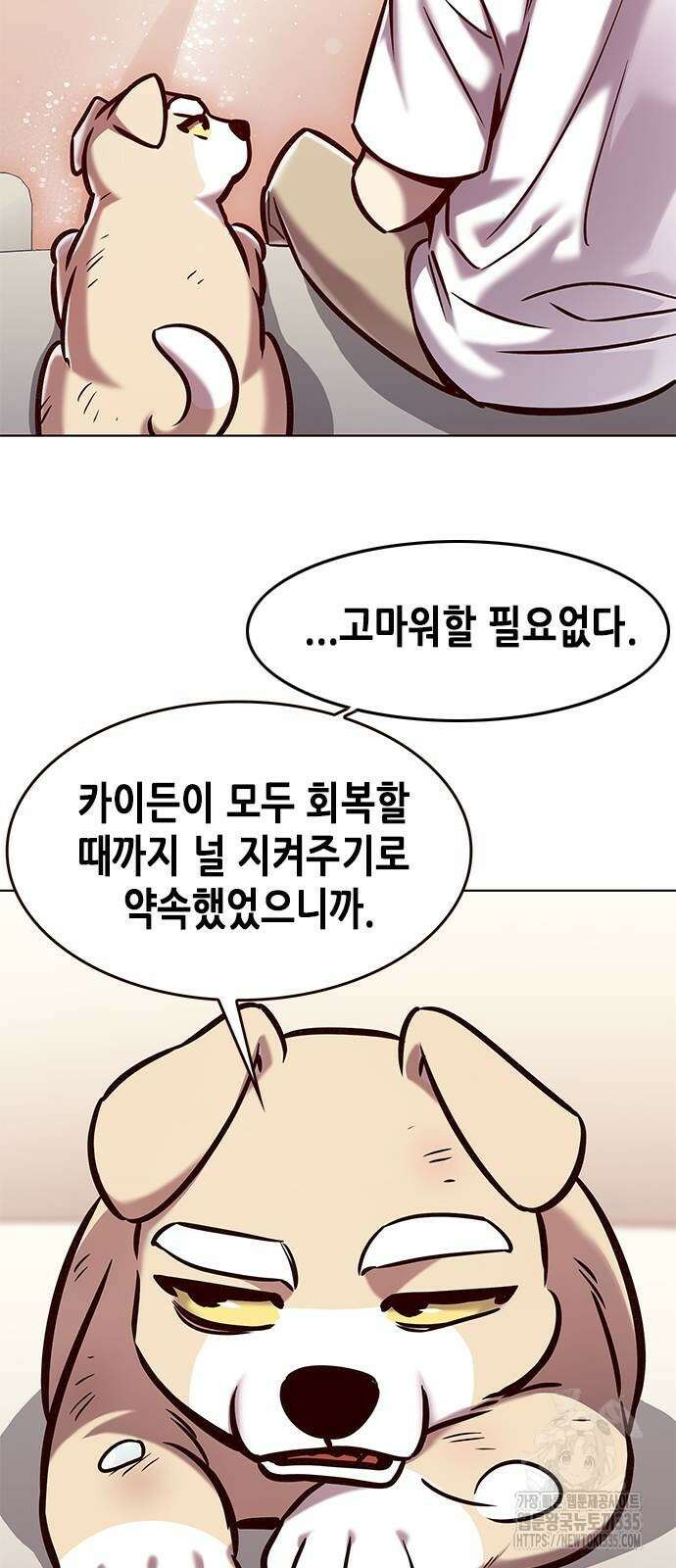 일렉시드 294화 43