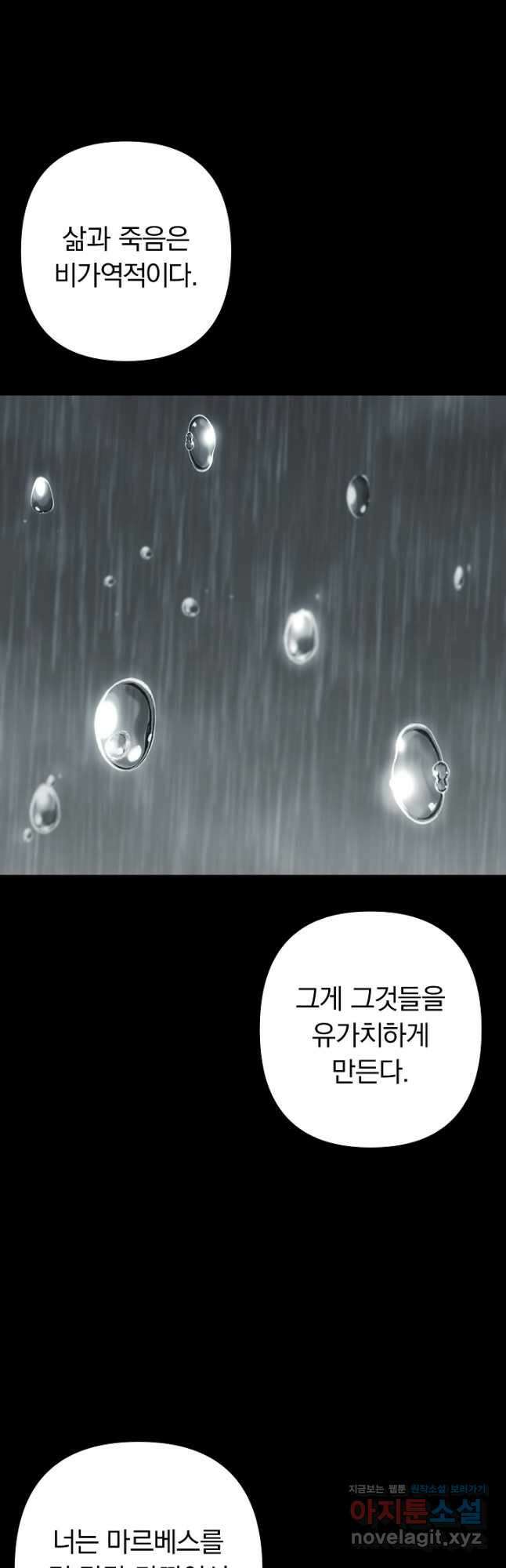 용사가 세계의 주적이라는데요! 56화 11