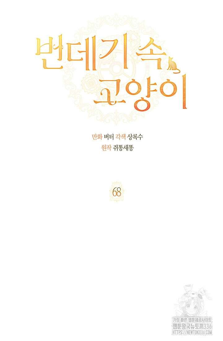 번데기 속 고양이 68화 5