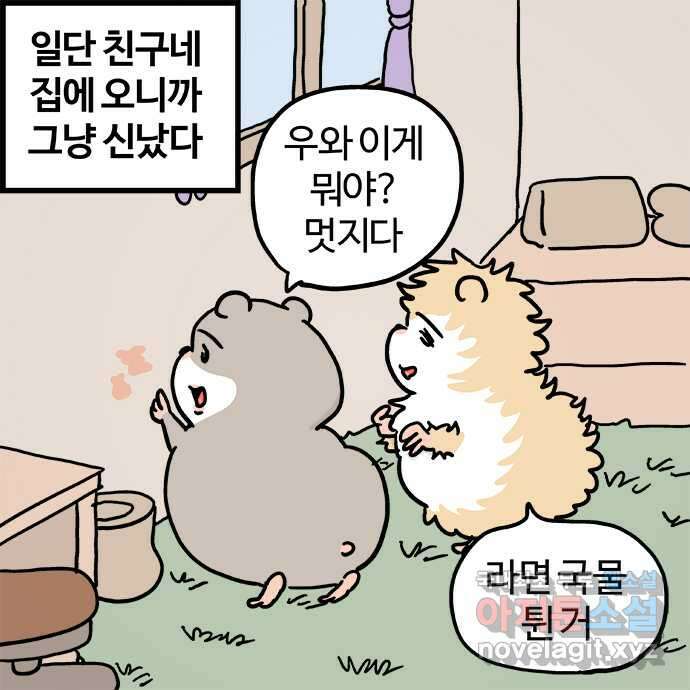 흔한햄 39화: 친구네 집 정석코스 2