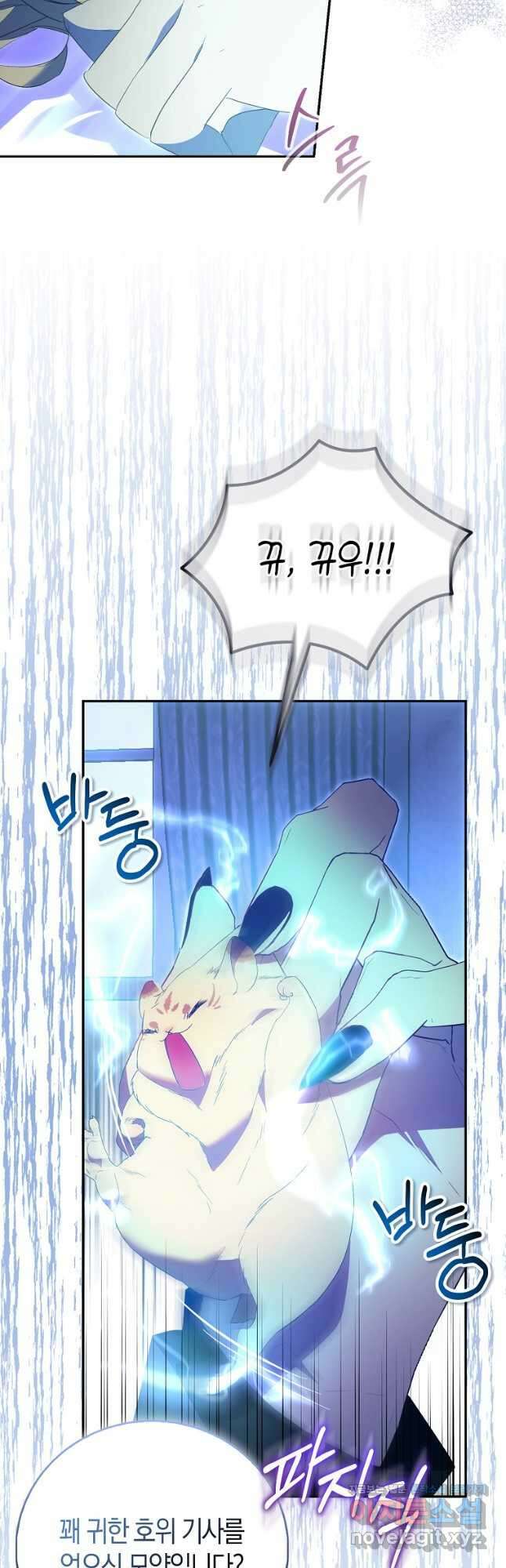 가짜 성녀인데 신들이 집착한다 79화 11