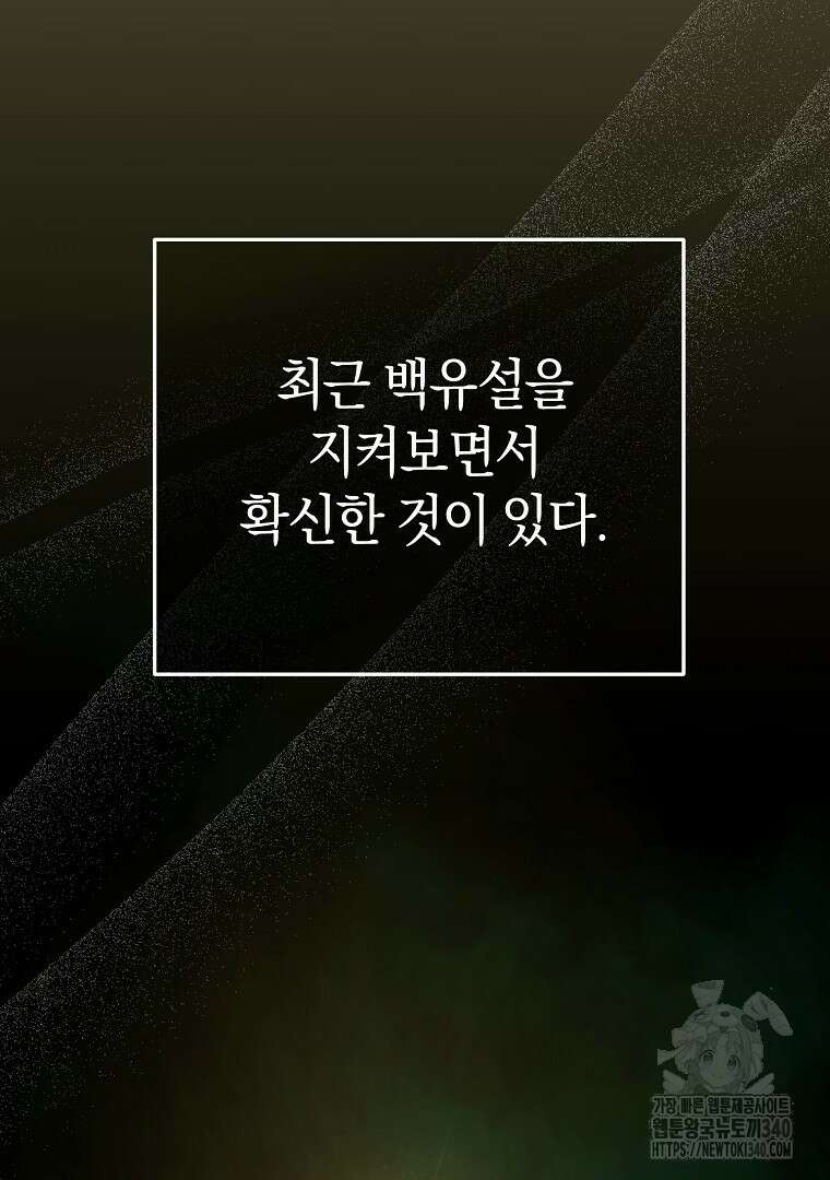 마법학교 앞점멸 천재가 되었다 19화 5