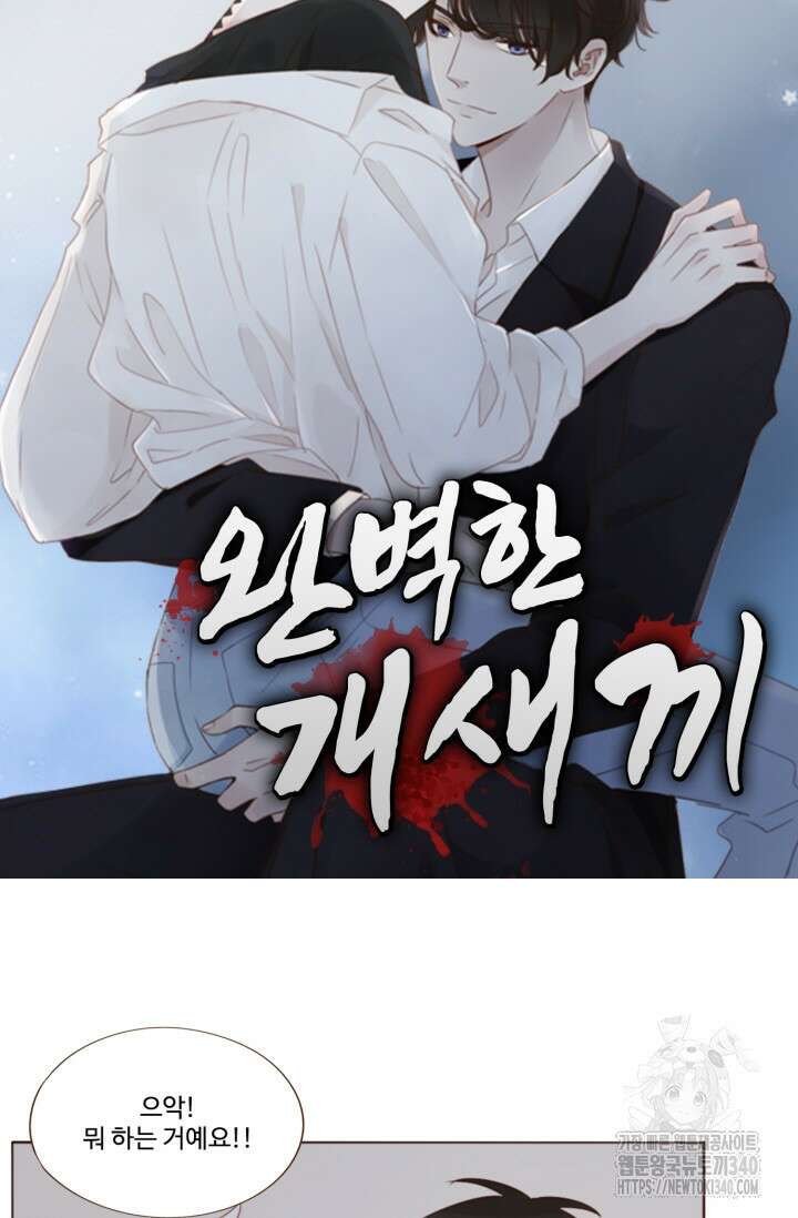 완벽한 개새끼 36화 5