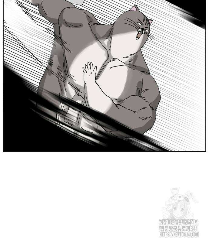 괴양이 50화 14