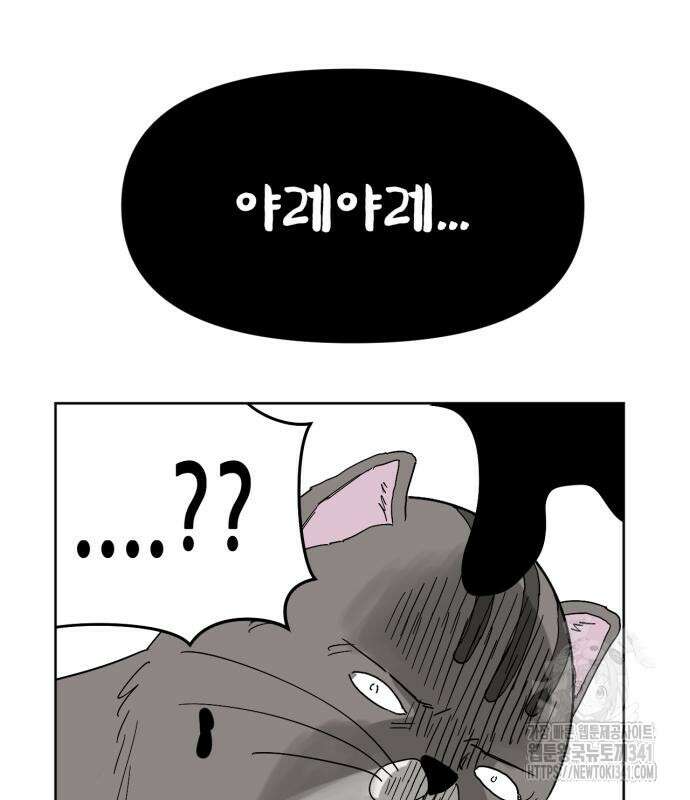 괴양이 50화 15