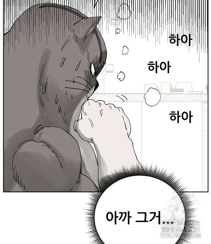 괴양이 50화 27