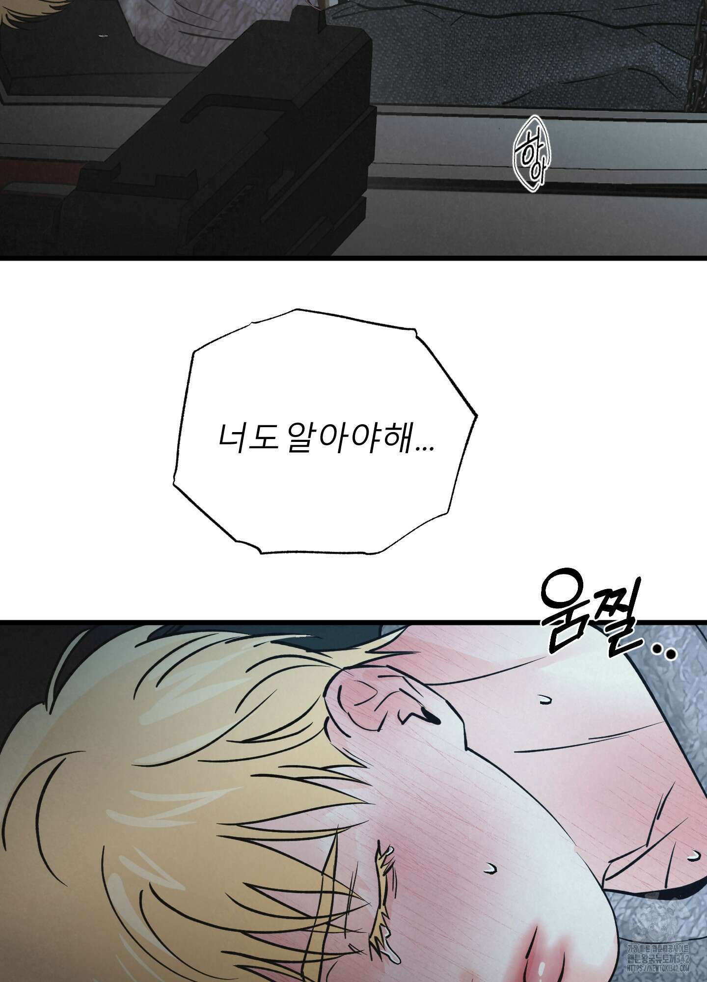 골든 페어(Golden Pair) 43화 47