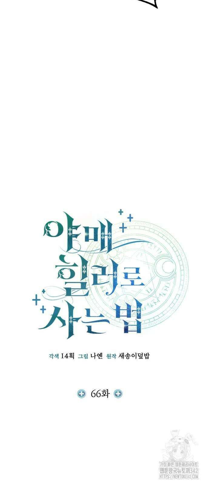 야매 힐러로 사는 법 66화 17