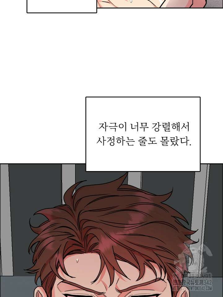 개와 새 26화 시즌1 마지막화 26