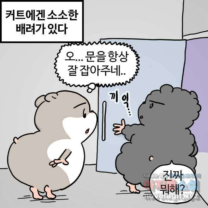 흔한햄 2부 2화 : 커트 관찰 2