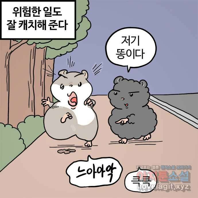흔한햄 2부 2화 : 커트 관찰 3
