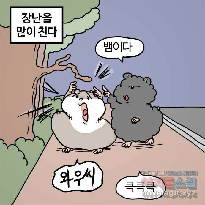 흔한햄 2부 2화 : 커트 관찰 4