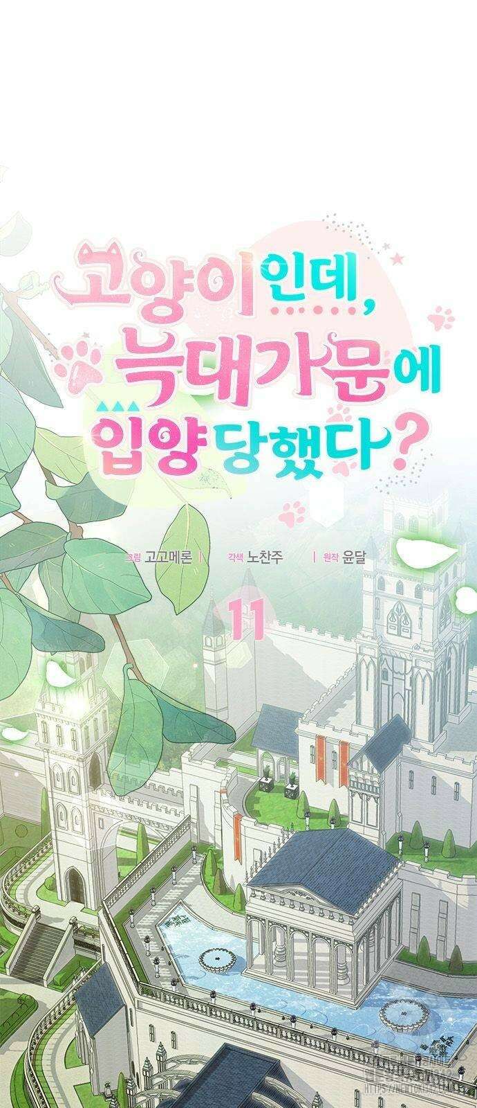 고양이인데, 늑대 가문에 입양당했다? 11화 3