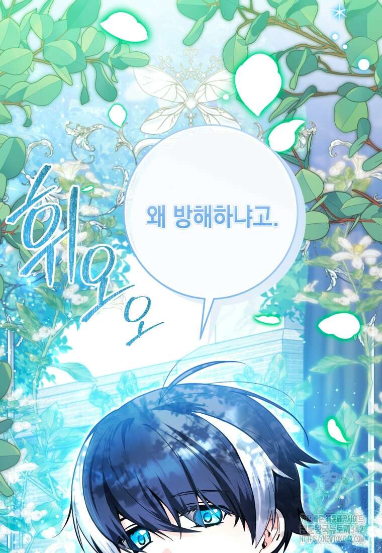 흑막 범고래 아기님 12화 3